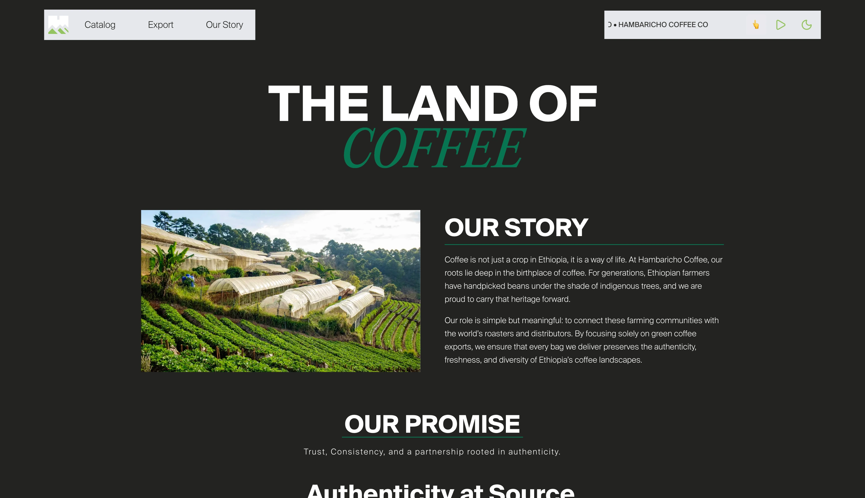 project preview